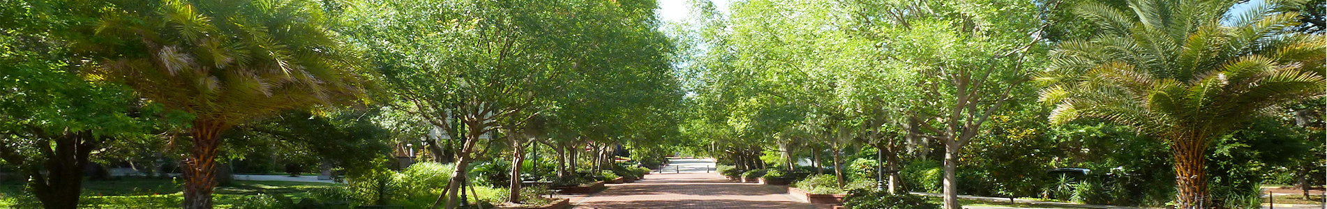 FSU landscape