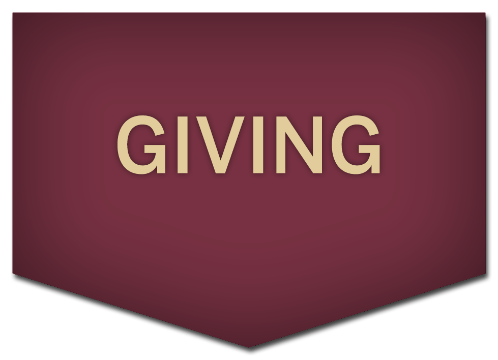 Giving Icon